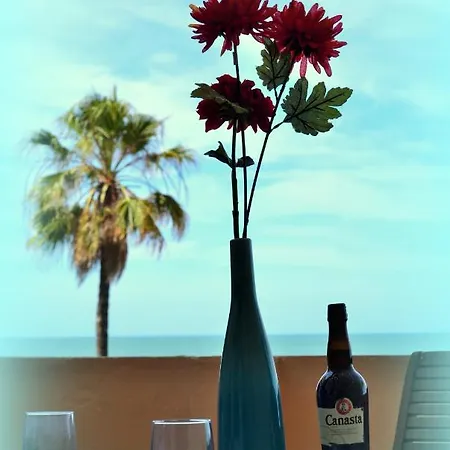 Amazing Frontal #traveller's Awards2023