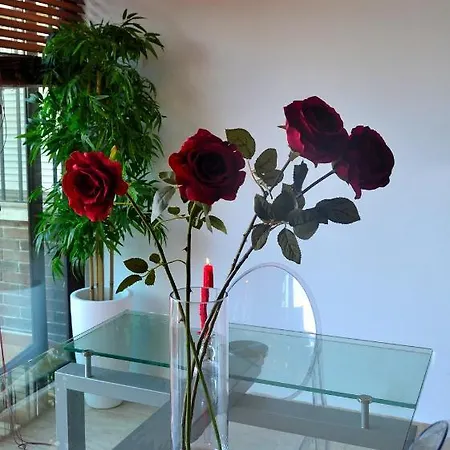 Amazing Frontal #traveller's Awards2023 Apartment