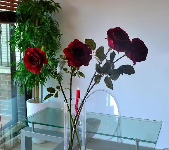 Amazing Frontal #traveller's Awards2023 아파트